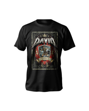camiseta david unissex, estampa david bíblica, camiseta cristã fé e coragem, roupa rock cristã